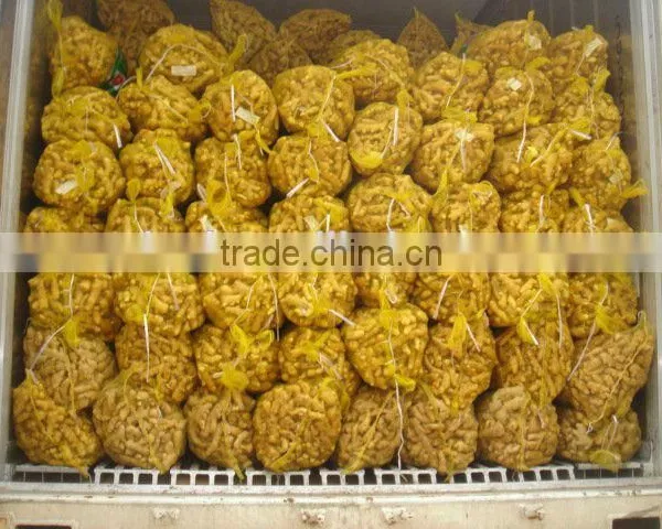 Fresh Organic Ginger Price in China photo-4