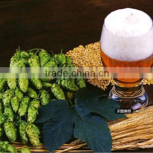 Hot Sale High Quality Factory Directly Supply Industrial Brewing Equipment for Sale photo-4