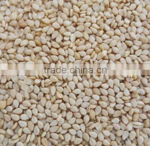 sesame seed processing machinery