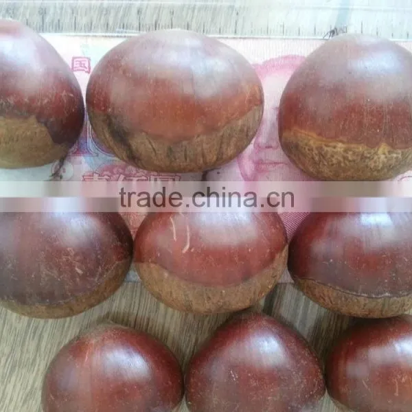 2015 New Harvest Edible Chestnuts Price photo-2