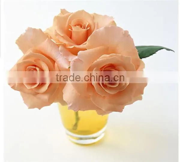 Wholesale Grade A Fresh Roses From India Fresh Rose Petals photo-4