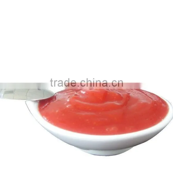 Fresh Tomato Ketchup in Bottle photo-3