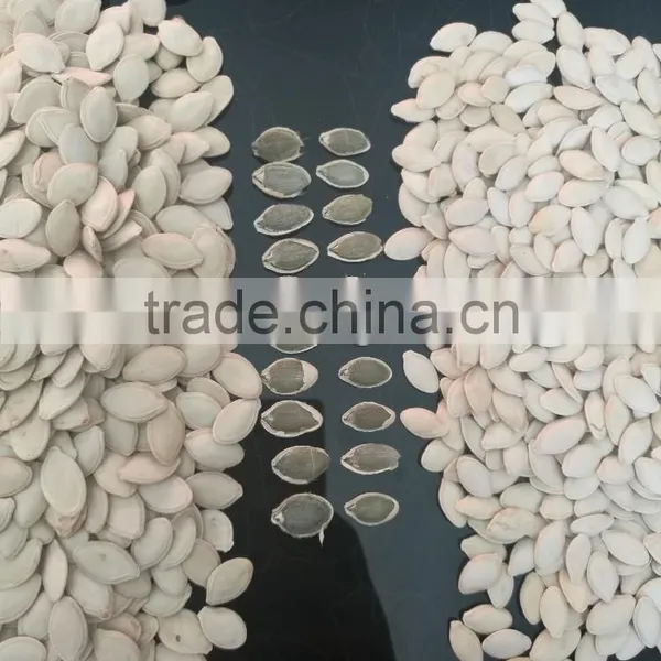 Organic Pumpkin Seeds Shine Skin in Shell 10mm up
