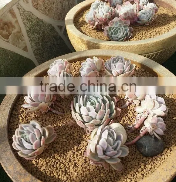 Porosity Soil/Gardening Soil/Horticulture Soil photo-6