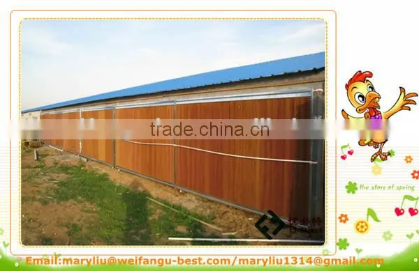 Automatic Chicken Raising Equipment photo-5