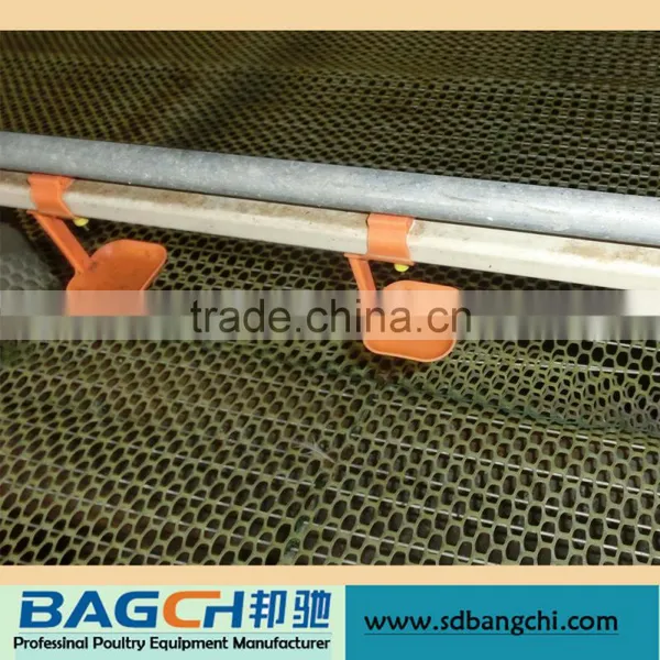 Complete Automatic Chicken Raising Equipment for Farm