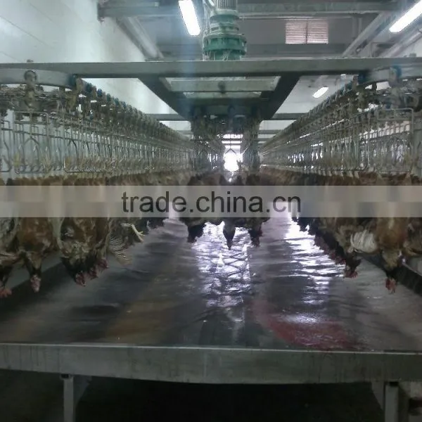 Broiler Chicken Slaughter/Chicken Processing Equipment for Slaughter 008618052092685 photo-2