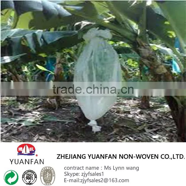 Make to Order 100% pp Spun-bonded Non Woven Fabric Usded for Agriculture photo-4