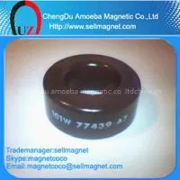 MPP Core (American MAGNETICS and Korea CSC) photo-2