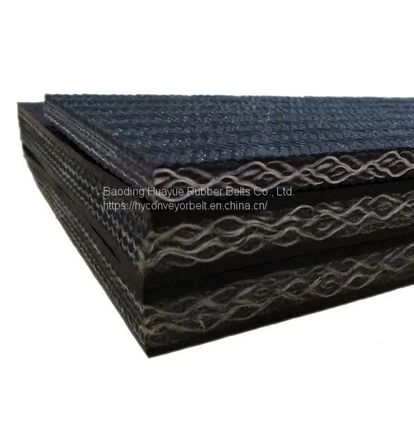 PVC Conveyor Belt photo-2