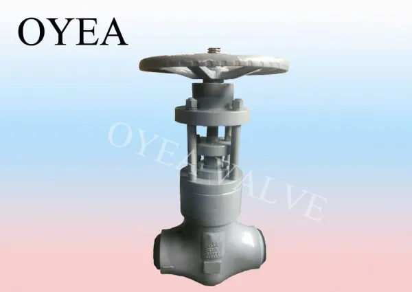 ANSI GB JIS DIN High Pressure High Temperature Wcb Forged Steel Stainless Steel Power Station Globe Valve