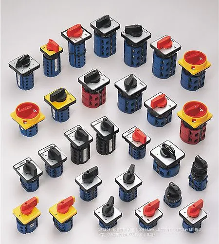Rotary switch