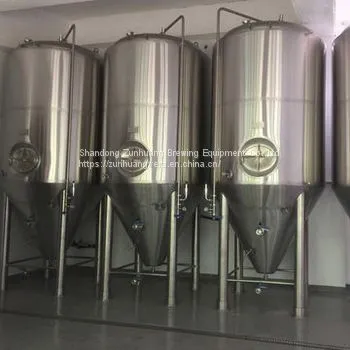 300L Beer Fermenter Beer Brewing Equipment Beer Fermentation Tank photo-2