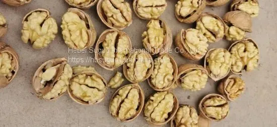 Walnut Inshell photo-3