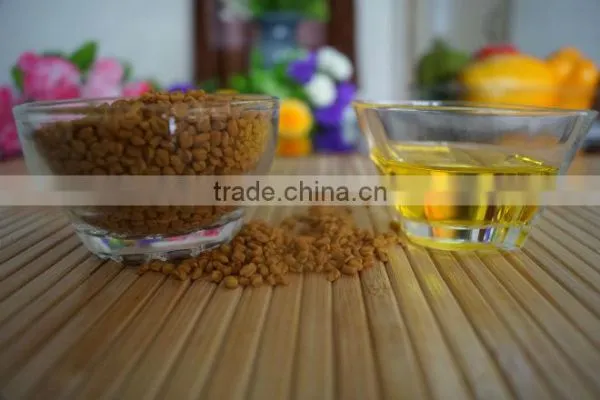 Premium Quality Fenugreek Oil Capsules for Sale