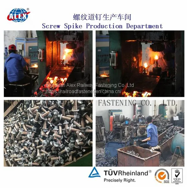 Hexagon Head S1 Screw Spike According to GB/T3098.1 for Railroad Fastening photo-2