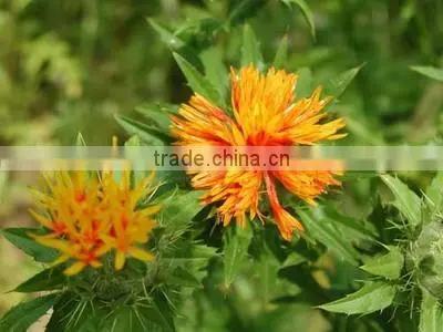 Natural Safflower Extract Oil photo-4