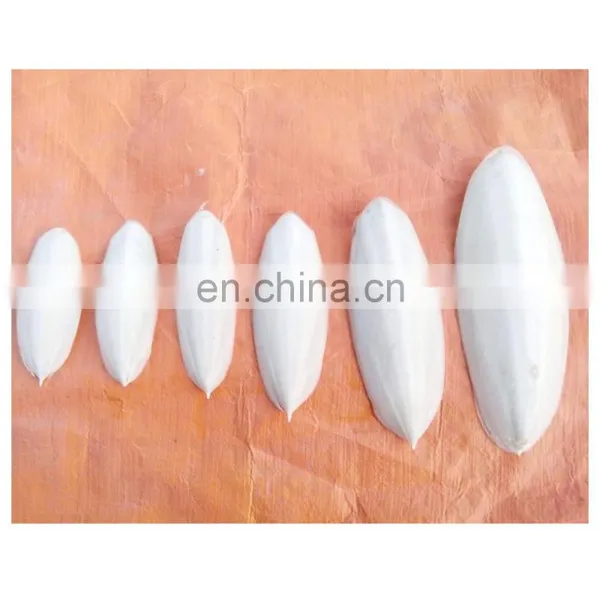 Cuttlebone Seafood Animal Feed Body Part Vitamins NATURE Dried Cuttlefish Bone With Natural White Color