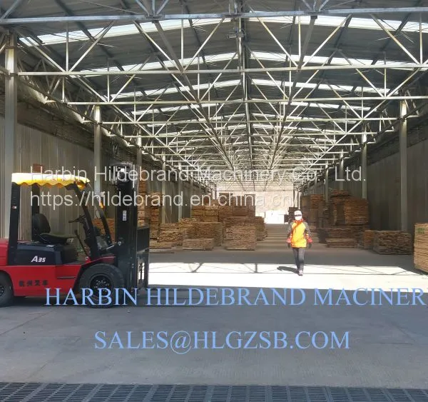 180m3 Chinese First Factory for Timber Drying Kiln for Sale Best Discount Quality Choice