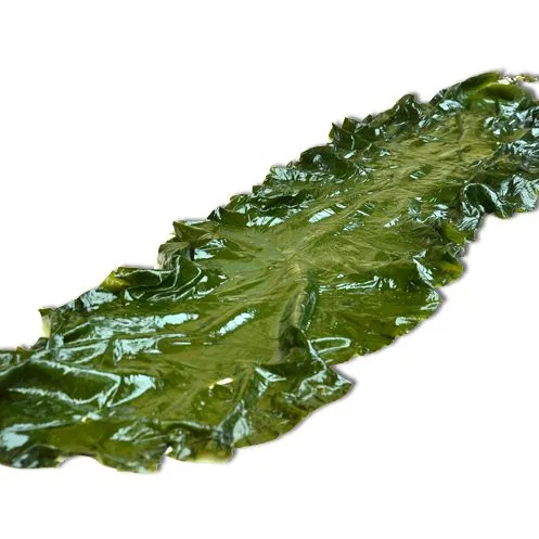 Seaweed Washing Machine/best Seller Kelp Cleaning Machine/seaweed Cleaning Machine