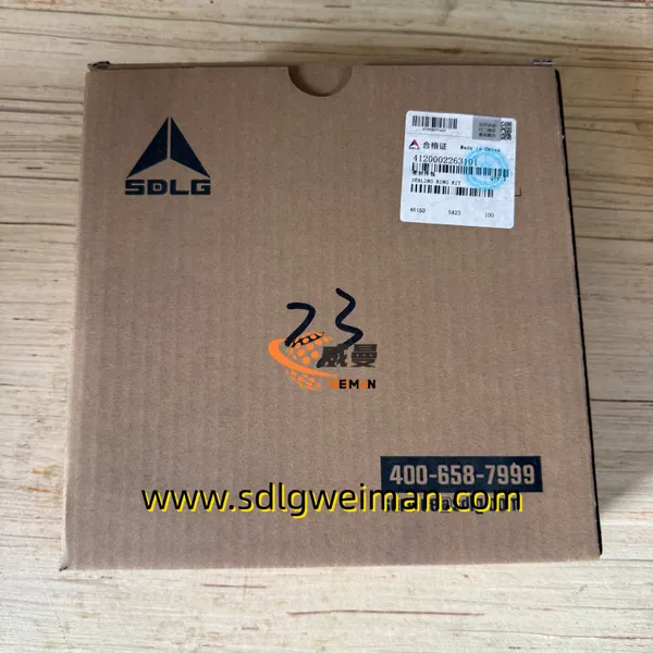 Original SDLG 4120002263101 SEAL KIT For LG936L LG956L Wheel Loader Spare Parts photo-3