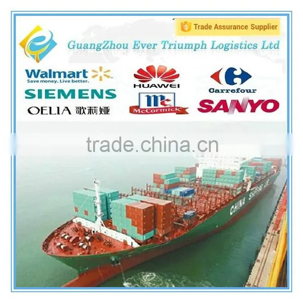 Ocean Freight Shipping From Guangzhou/Shenzhen/Shanghai China to Europe (DDU DDP Shipping)