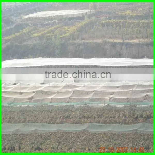Anti Hail Systems/ Anti Hail Net / Hail Protection Nets for Agriculture photo-5