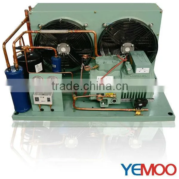 Copeland Hermetic Air Cooled Condensing Unit--box Type With v Type for Solar Power Cold Room photo-3
