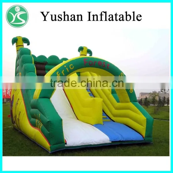 China Suppliers Factory Price Giant Inflatable Water Slide photo-4