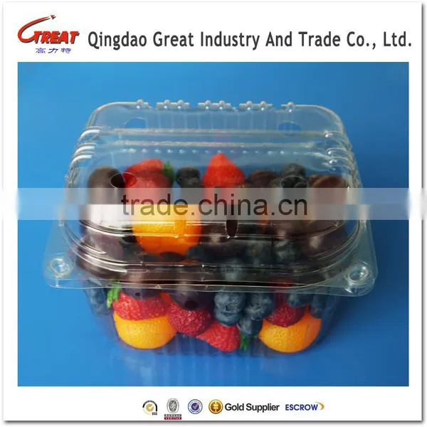 Disposable Blister Clamshells Punnet Fruit Packaging Tray for Grape 1000 Gram photo-2