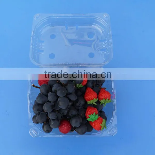 High Quality Disposable Clamshell Blister Plastic Packaging Container Punnet 1500 Gram photo-3