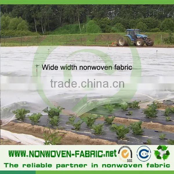 Agriculture Nonwoven Banana Plant Cover Fabric photo-5