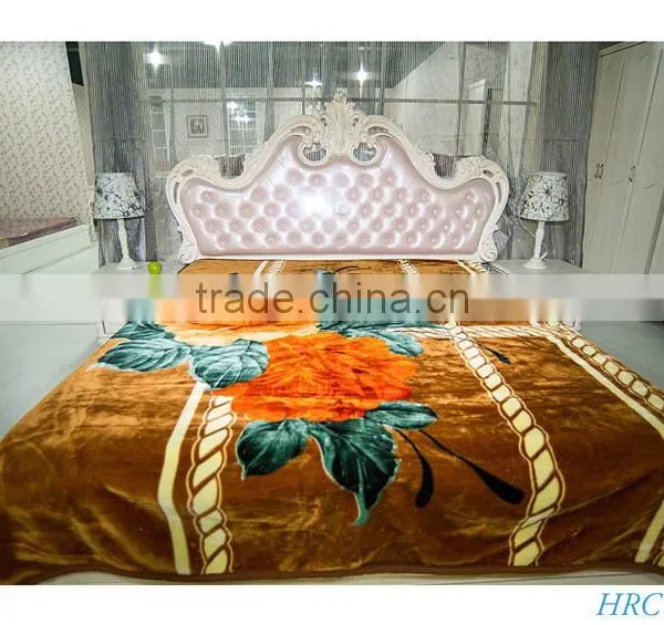 Hot Selling New Design 100 % Polyester Korean Style2Ply Mink Blanket photo-2