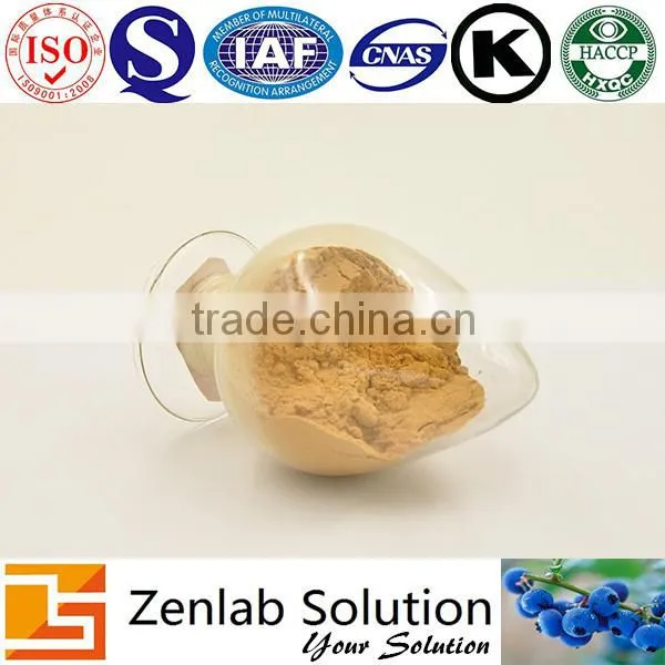 Paeonia Lactiflora Extract, Paeonia Lactiflora P.e, Paeonia Lactiflora Powder photo-2