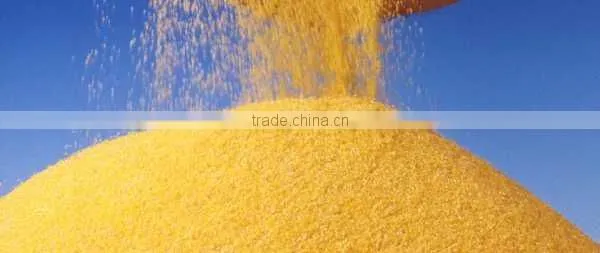 Corn Grits and Corn Meal Used in Extruded Snack Food , Breakfast Cereals, Breweries photo-2