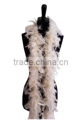 Deluxe Costume Accessory Feather Boa photo-2