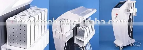 650 980 Dual Wavelength Laser Lipolysis Slimming Machine for Sale VL109 photo-2