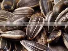 SUNFLOWER SEEDS photo-5