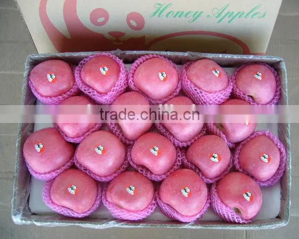 China Fresh Fruits Fully Blush photo-3