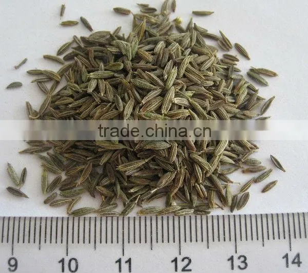 Black Cumin Seed Cumin Seeds