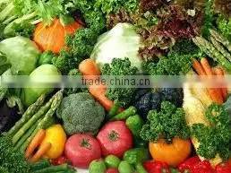 High Quality Exquisite Classic Fresh Vegetables photo-2