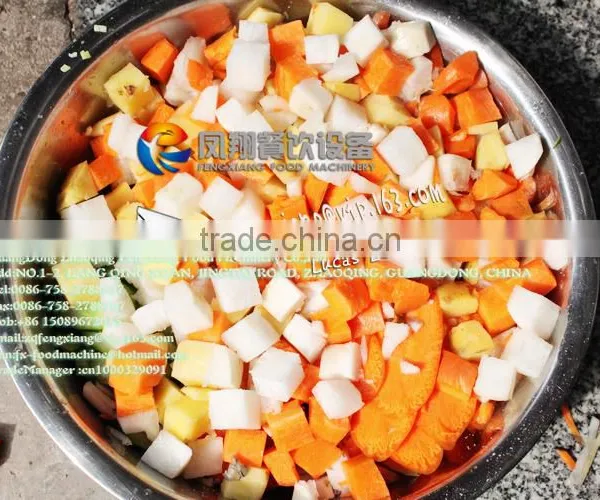 FC-312 Efficiency Industrial Vegetable Root Cutter Cutting Machine photo-6