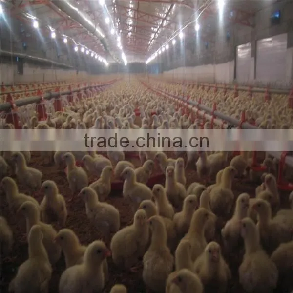 Computer-controlled Poultry Feeding System photo-4
