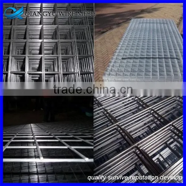 Welded Wire Mesh 6" x 6"/ Pvc Coating Welded Wire Mesh Fence / pe Coating photo-3