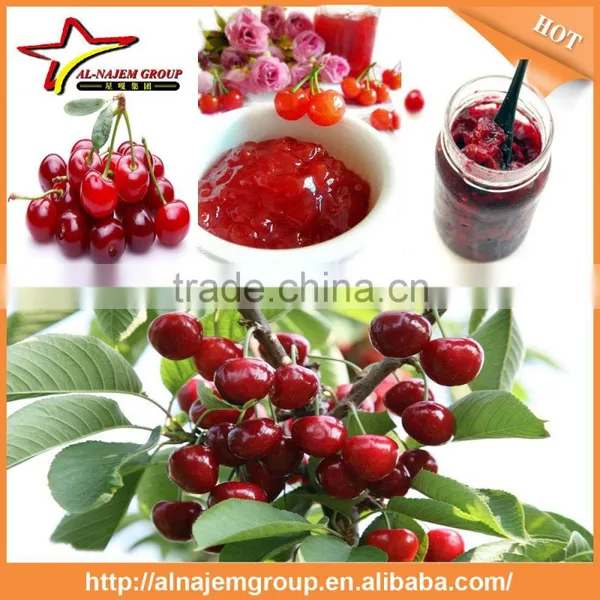 Cherry Fruit Jam Production Line/fruit Jam Making Machine System photo-3