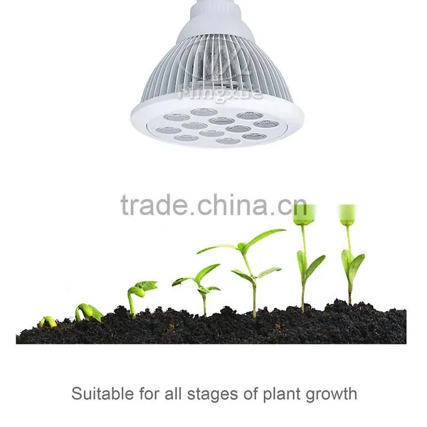 ShenZhen Factory Wholesale Hydroponics Grow System E27 PAR38 12W LED Plant Grow Par Light Bulb photo-5