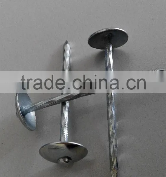 Galvanized Roofing Nails/umbrella Roofing Nails/roofing Nails With Washer photo-6