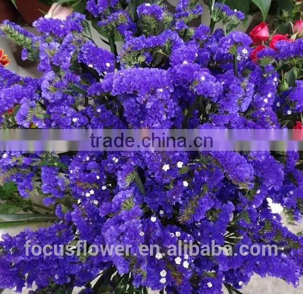 Factory Price Supply Online Shopping Statice Good Quanlity for Anniversary photo-5