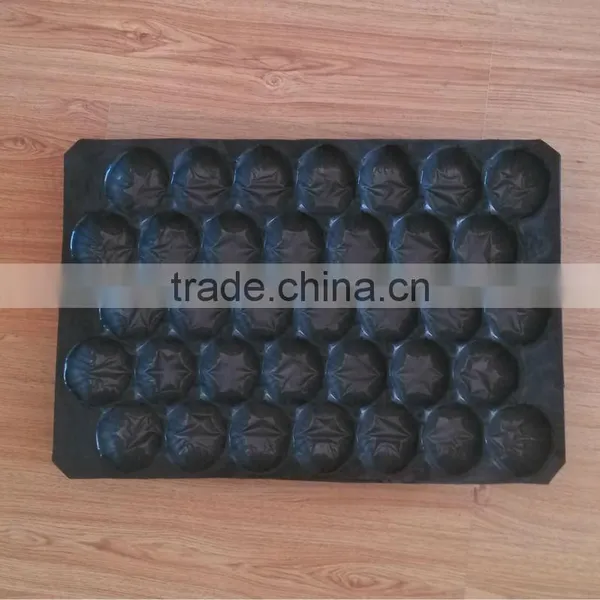 Mexico Food Grade PP Plastic 39*59cm Tomato Packaging Tray photo-6