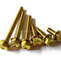 Golden Anodized Titanium Bolt